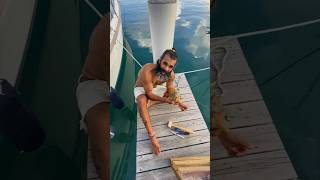 How to Get a Conch Out of Its Shell shorts short sailingadventures [upl. by Aicissej94]