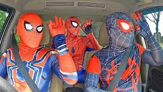 All Spider Man Dancing in The Car  Funny Video Music [upl. by Mathe]