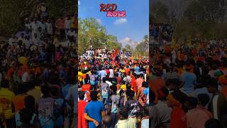 Red Rose🫵🫡 jallikattu hosur jallikattu 😳🤫💥💯 [upl. by Katzman]