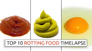 Top 10 Rotting Food Timelapses [upl. by Louls]