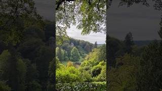 Autumn at Stourhead 🍂 england wiltshire stourhead autumndays autumnwalk autumn uk uktravel [upl. by Amathist]