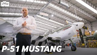 What made the P51 Mustang so special [upl. by Onaicul945]