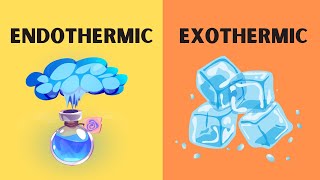 Endothermic and Excothermic Phase Changes [upl. by Ardnovahs]