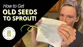 Germinate Old Seeds with This Simple Trick [upl. by Rissa]