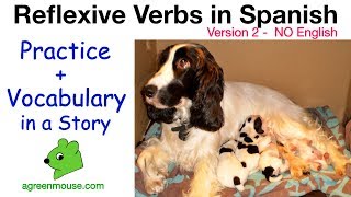 Learn Reflexive Verbs in Spanish  Vocabulary  Practice in a Story [upl. by Ellehcar838]