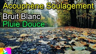 ACOUPHÈNES Soulagement Bruit Blanc Pluie Douce Sons Pluvieux Hyperacousie Oreille Tinnitus Ambience [upl. by Melany]