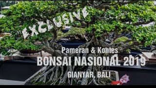 PAMERAN DAN KONTES BONSAI NASIONAL 2019 dalam Rangkaian HUT Kota GIANYAR ke248 [upl. by Jamil]