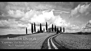 Dvorak Cypresses B152 No7 Andante con moto [upl. by Airegin]