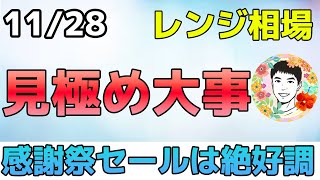 米国株の起爆剤となるか？小売りセールが絶好調！【1128 米国株ニュース】 [upl. by Rimidalb]