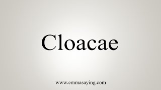 How To Say Cloacae [upl. by Bray973]