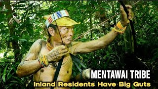 MENTAWAI TRIBE  Inland Resident Have Big Guts [upl. by Nesral398]