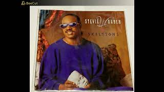 STEVIE WONDER スティーヴィー・ワンダーSKELETONSEP盤 [upl. by Carnay703]