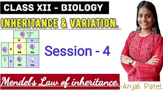 Class XII Biology  Inheritance and Variation  Mendels law of inheritance [upl. by Ainevuol]