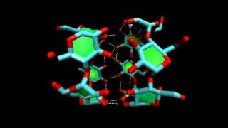 αcyclodextrin dimer molecular dynamics simulation [upl. by Gabrielli]