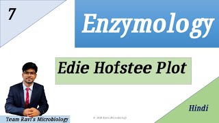 Eadie Hofstee Plot Hindi  Enzyme Kinetics [upl. by Dunseath531]