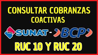 Cómo consultar una cobranza coactiva de la Sunat [upl. by Rhtaeh662]