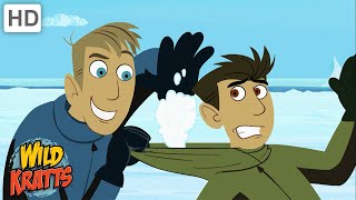 Winter Adventures Part 1  Happy Holidays  Wild Kratts [upl. by Nolyaw]