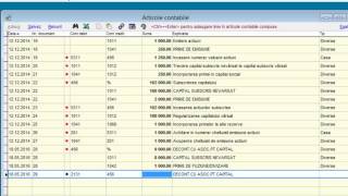 Curs practic contabilitate  Introducere formule contabile pentru prime de fuziune in programul SAGA [upl. by Ahsiugal612]