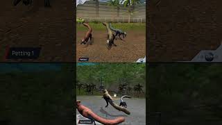 SINOSAUROPTERYX ALL ANIMATION  Jurassic World The Game [upl. by Mahgirb]