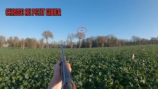 CHASSE DU PETIT GIBIER  perdrix faisans grives [upl. by Brittney]