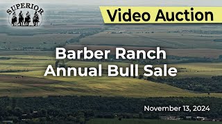 JLB Ranch Commercial Female Sale [upl. by Ungley]