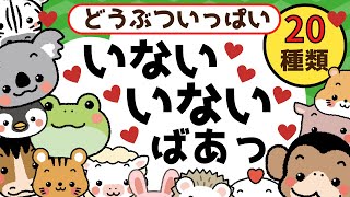 赤ちゃん喜ぶ【いないいないばあ】０歳から２歳向け【どうぶついっぱい】赤ちゃん泣き止む☆赤ちゃん向けアニメ☆知育アニメMake a baby stop crying Baby Sensory [upl. by Manly]