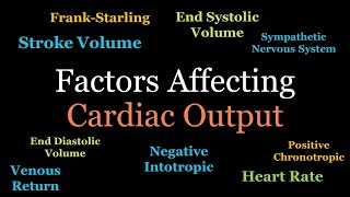 Factors Regulating Cardiac Output [upl. by Ellevart]