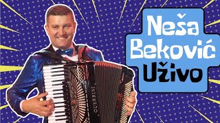 Neša Beković Improvizacija [upl. by Ahseinaj300]