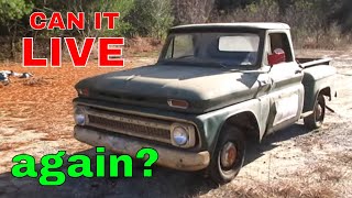 Ratty 65 Chevy Pickup Resurrection after 30 years in a Barn [upl. by Nadnal]