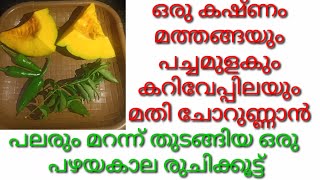 മത്തങ്ങയും പച്ചമുളകും കറിവേപ്പിലയും ഉണ്ടോ ഇത് മതി ചോറുണ്ണാൻ  Pumpkin Curry Mathanga Ozhichu Curry [upl. by Harle]