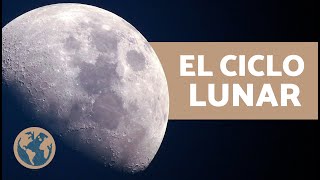 ¿Cuáles son las FASES de la LUNA 🌙 Explicación Ciclo Lunar y Cómo se Produce [upl. by Ettenwad606]