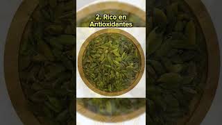 Cardamomo La Especia que Cuida tu Salud shorts salud nutricion [upl. by Anselme]