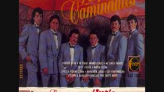 los caminantes maria elena0001wmv [upl. by Teleya222]