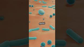 Phages Natures Microscopic Ninja Warriors science biology [upl. by Anide847]