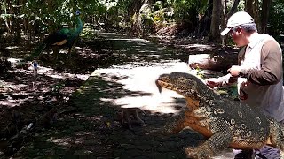 MENCARIAN BIAWAK BESAR KAWAN GARAGA Eps 1 [upl. by Liddle]