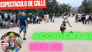 Karcocha en Parque ciudadela Barcelona P2 [upl. by Ecirb]