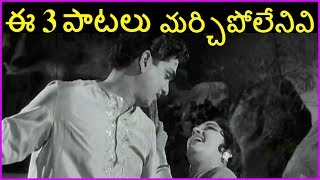 Evergreen Telugu Hit Video Songs  Mooga Nomu Telugu Movie  ANR Jamuna [upl. by Colligan]