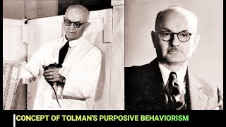 Tolmans purposive behaviorism or SS theory [upl. by Gerc989]