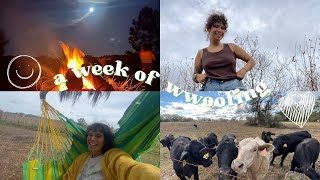 A week of WWOOFing  new friends explorations fun stuff ☀️🐄🍄🌝 [upl. by Cherilyn653]