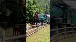 Walking Beside a Steam Train railfanning trains tweetsierailroad steamlocomotive [upl. by Eniamsaj]