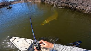 Fishing a SMALL RIVER for GIANT MUSKIES 12 MUSKY IN ONE DAY [upl. by Ahouh844]