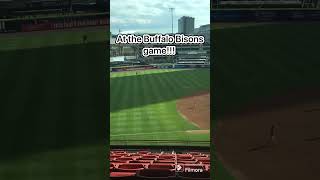 At the Bisons game bisons buffalo likeandsubscribe shorts [upl. by Haven]