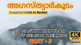 AGASTHYARKOODAM OFF SEASON TREKKING  THE MOST DETAILED TREKKING EXPERIENCE VIDEO  PART3pothigai [upl. by Seditsira272]