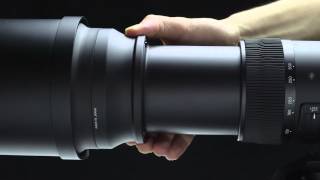 Sigma 150600mm f563 DG OS HSM Sport [upl. by Jacy841]