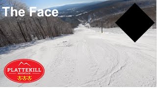 Skiing The Face at Plattekill Mountain Mar 4th 2023 [upl. by Carlen]