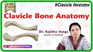 Clavicle Bone Anatomy Bony Landmarks and Articulations Functions Attachments Clinical aspects [upl. by Anerahs]