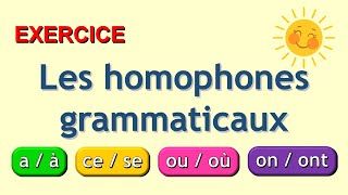 les homophones grammaticaux exercices [upl. by Niala]