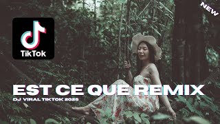 EST CE QUE REMIX VIRAL TIKTOK 2024 [upl. by Benedikta91]