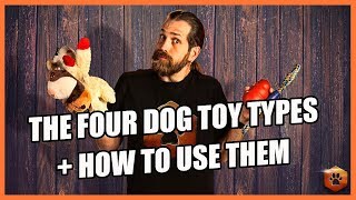 How to Use the 4 Types of Dog Toys RIGHT [upl. by Osbert478]