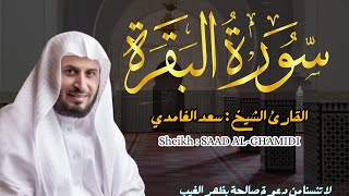 القارئ الشيخ  سعد الغامدي سورة البقرة  Sourat Albaqarah Sheikh SAAD ALGHAMDI [upl. by Lerim377]